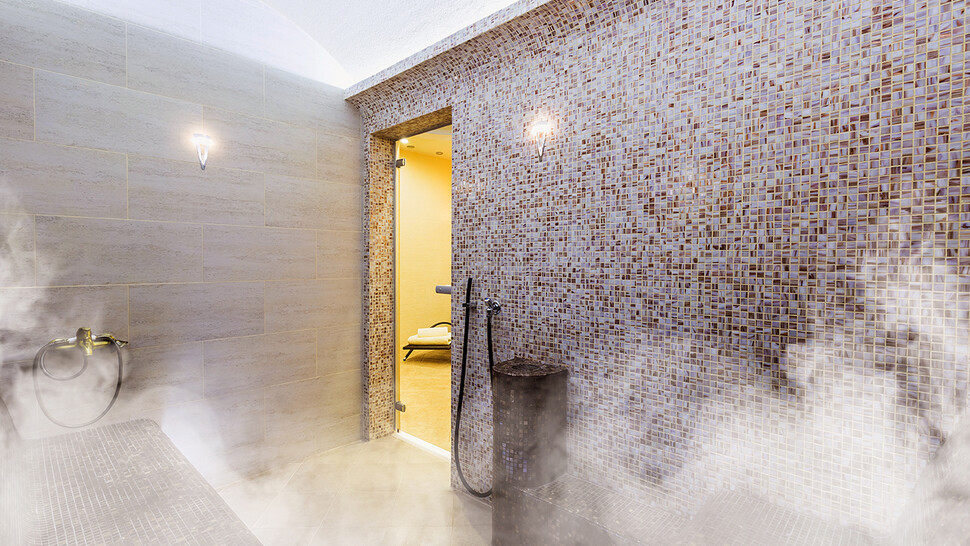 steam bath steam generators