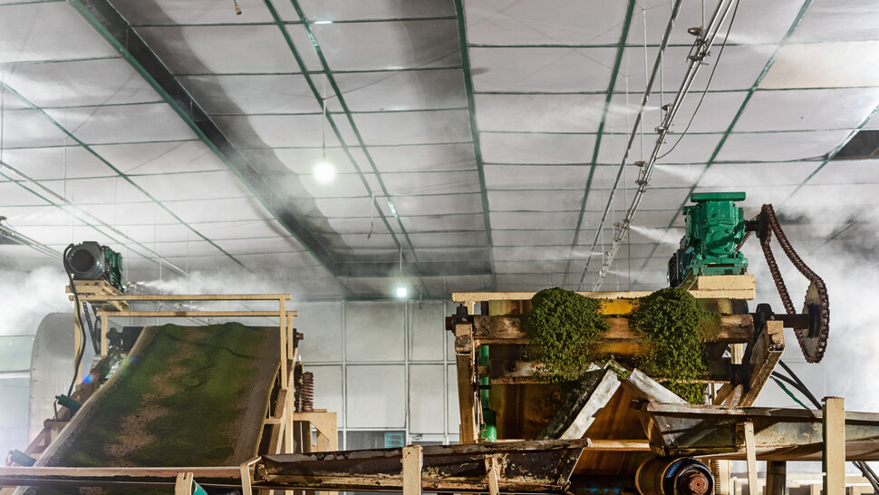 JetSpray humidifier at Parmeshwari Tea factory